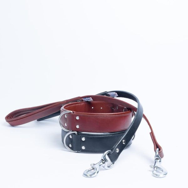 Dallas Leash